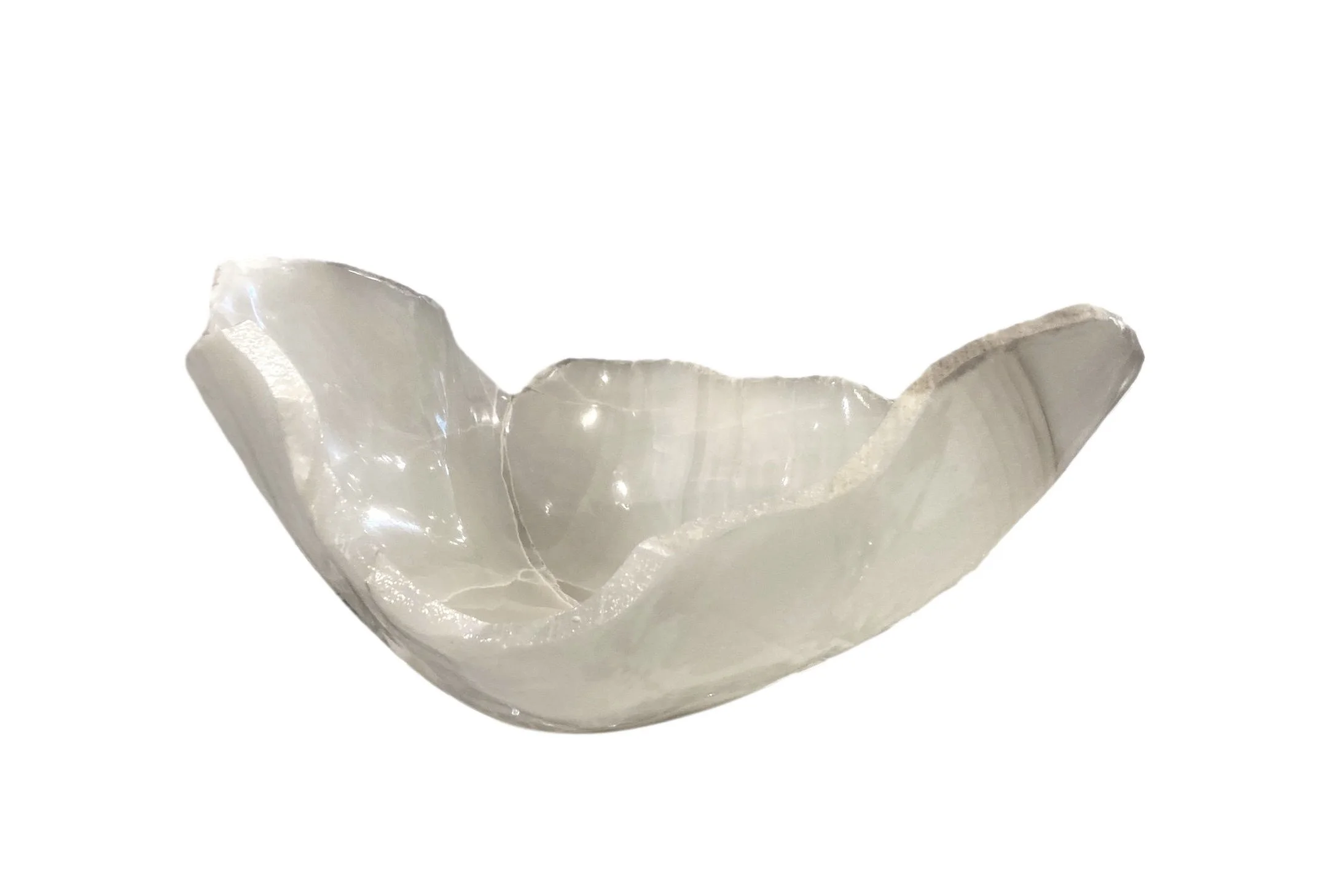 MINERALS & FOSSILS — Accessory Preview Inc.